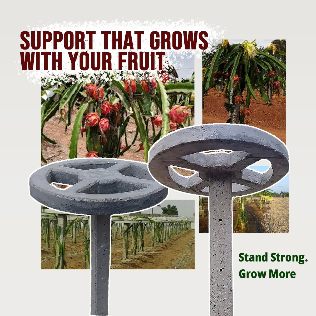 RCC Dragon Fruit pillar